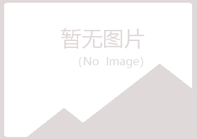 南郑县晓夏建设有限公司